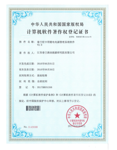 Polymer lithium ion battery certification